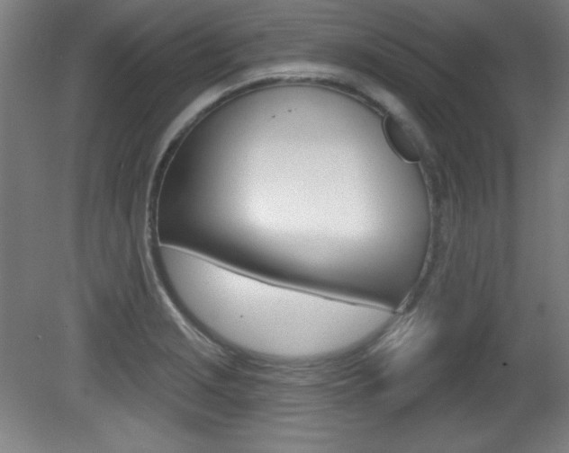 X0000081601229200701151045