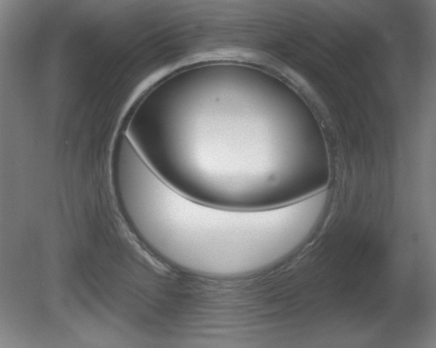 X0000081601230200701151045