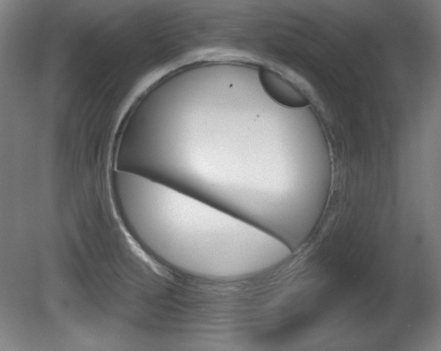 X0000081601231200701151045