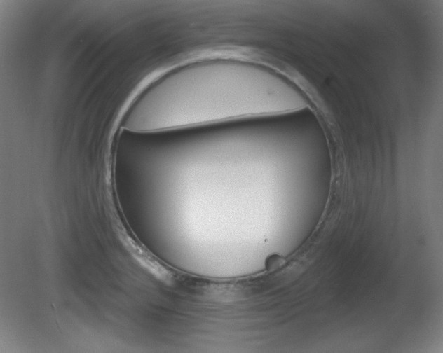 X0000081601232200701151045