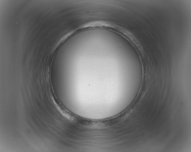 X0000081601233200701151045