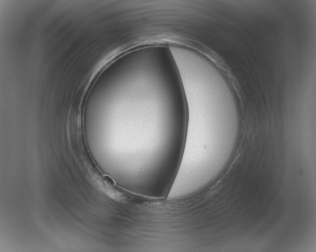 X0000081601234200701151045