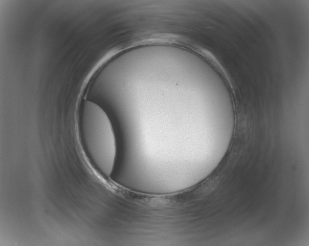 X0000081601235200701151045