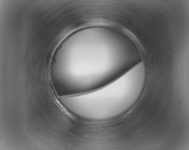 X0000081601236200701151045