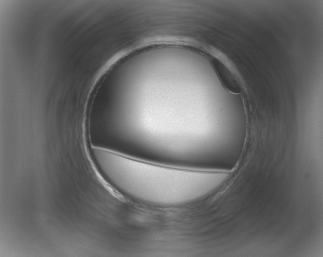 X0000081601237200701151045
