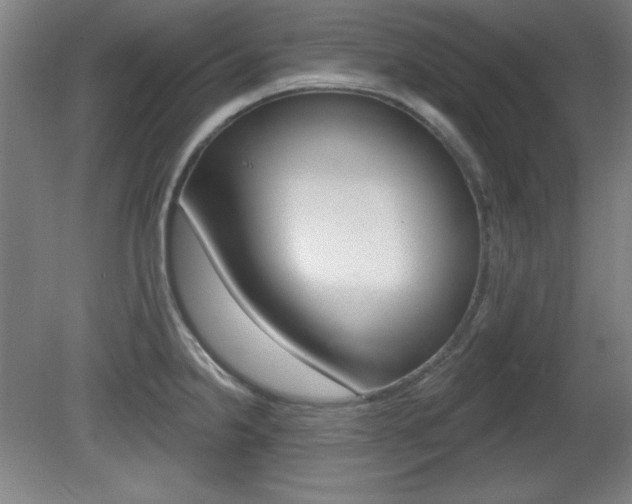 X0000081601238200701151045