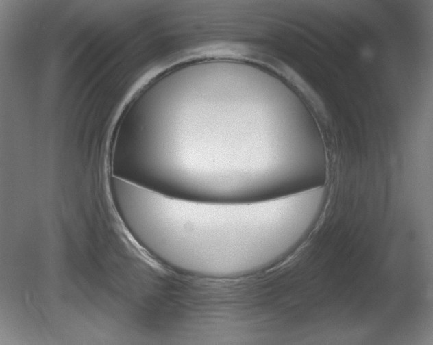 X0000081601240200701151045