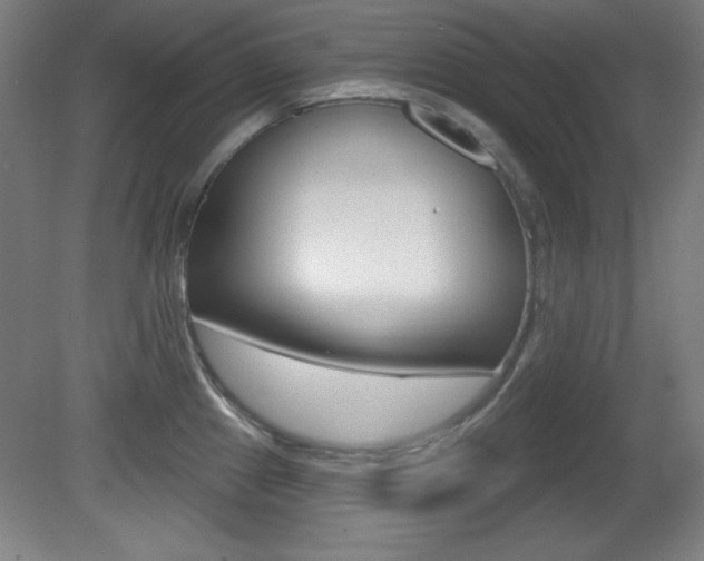 X0000081601241200701151045