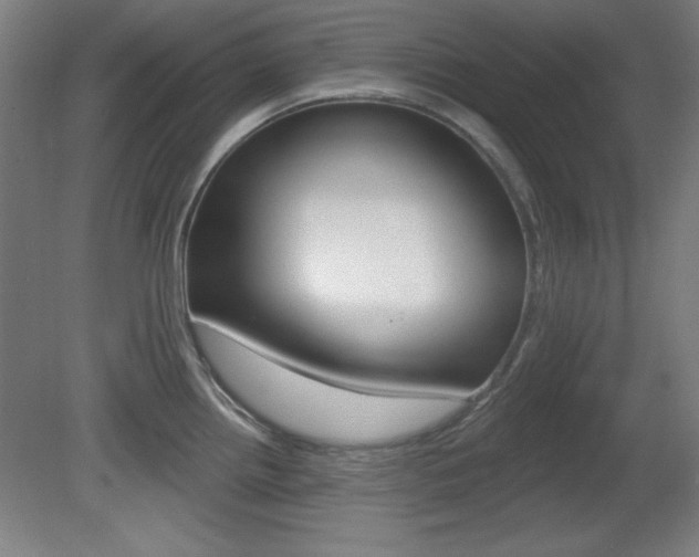 X0000081601242200701151045