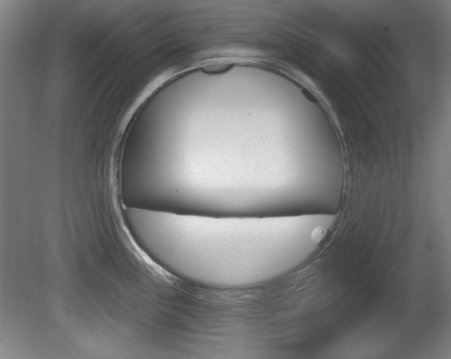 X0000081601243200701151045