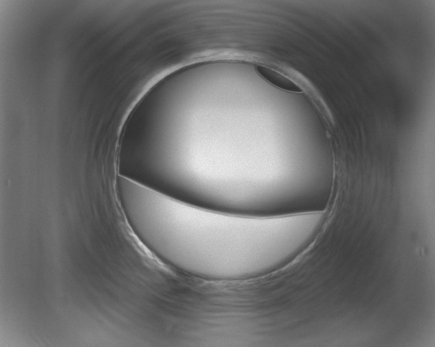 X0000081601244200701151045