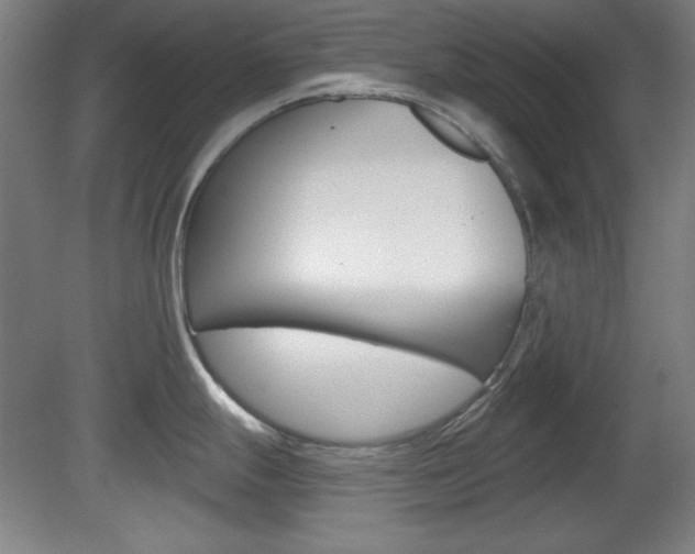 X0000081601247200701151045