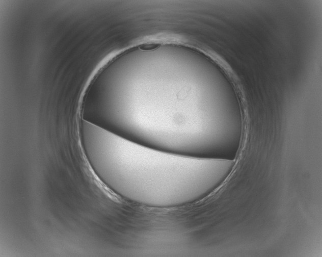 X0000081601248200701151045