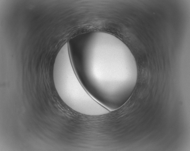 X0000081601250200701151045