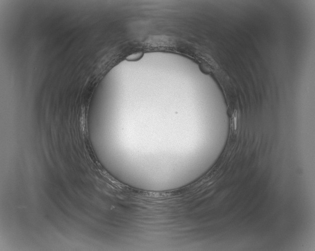 X0000081601251200701151045