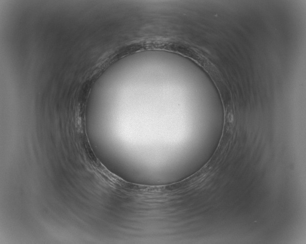 X0000081601252200701151045
