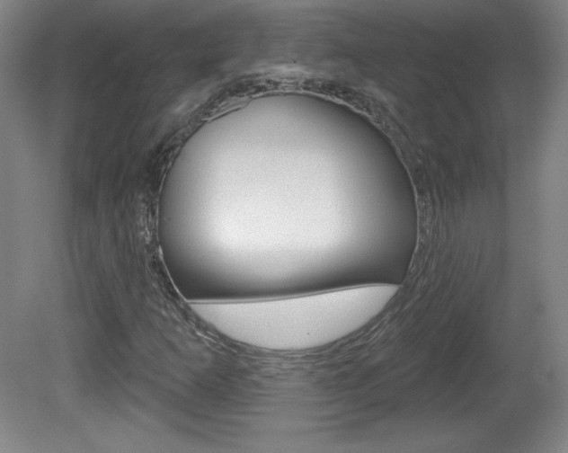 X0000081601253200701151044