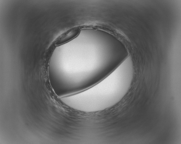 X0000081601256200701151044