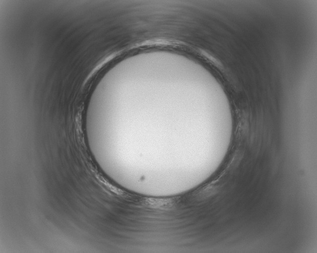 X0000081601258200701151044