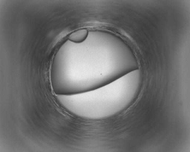 X0000081601259200701151044