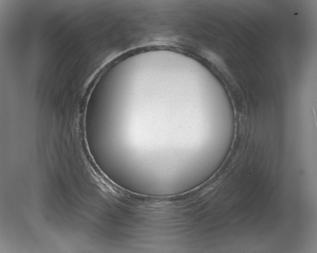 X0000081601260200701151044