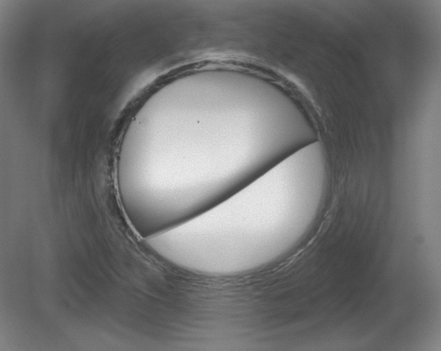 X0000081601263200701151044