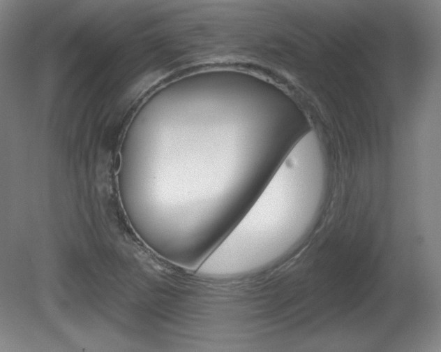 X0000081601265200701151044