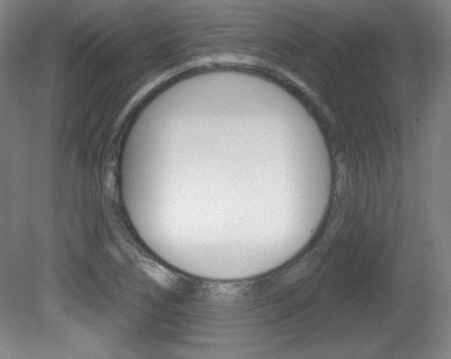X0000081601266200701151044