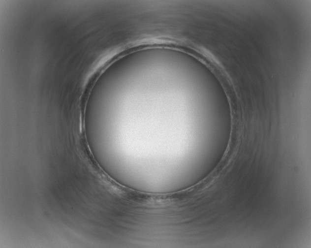 X0000081601269200701151044
