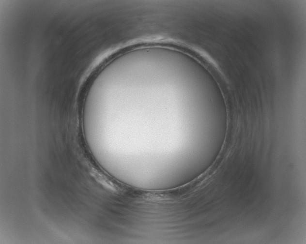 X0000081601270200701151044