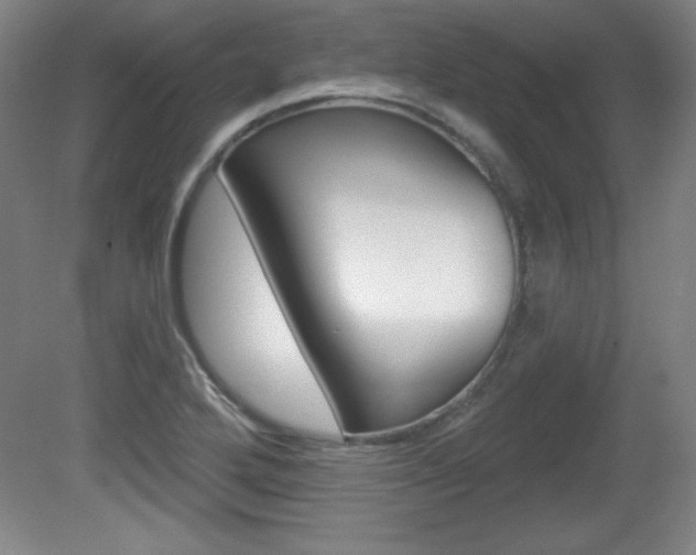 X0000081601272200701151044