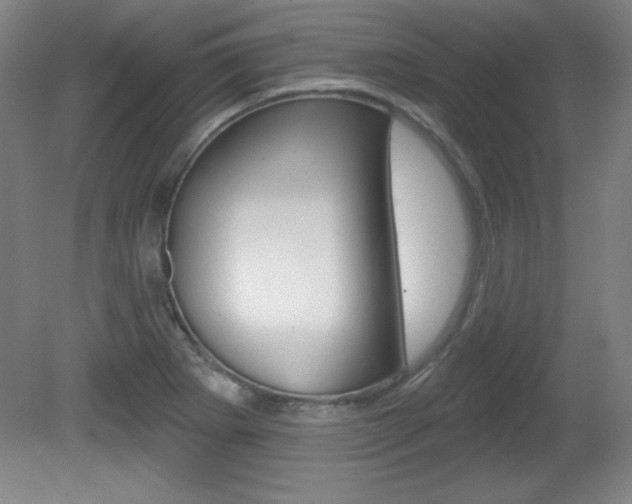 X0000081601273200701151044