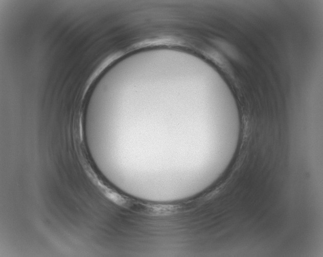 X0000081601274200701151044