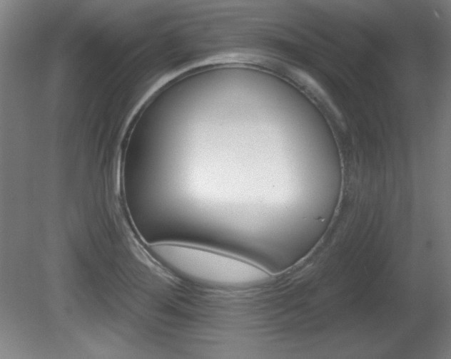 X0000081601276200701151044