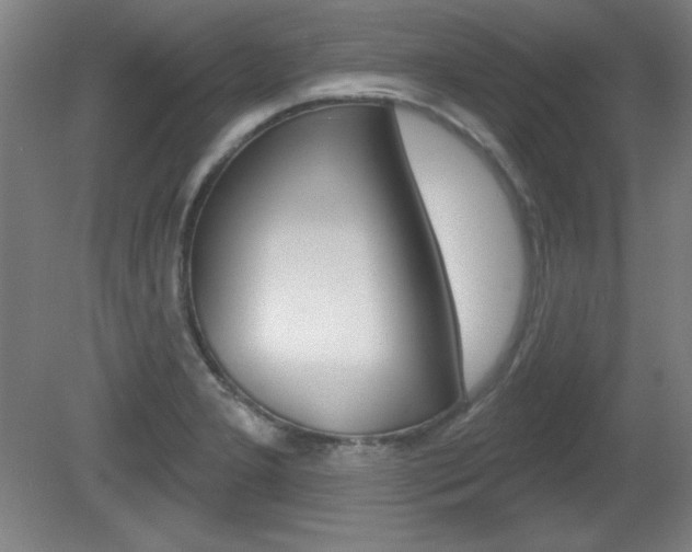 X0000081601277200701151044