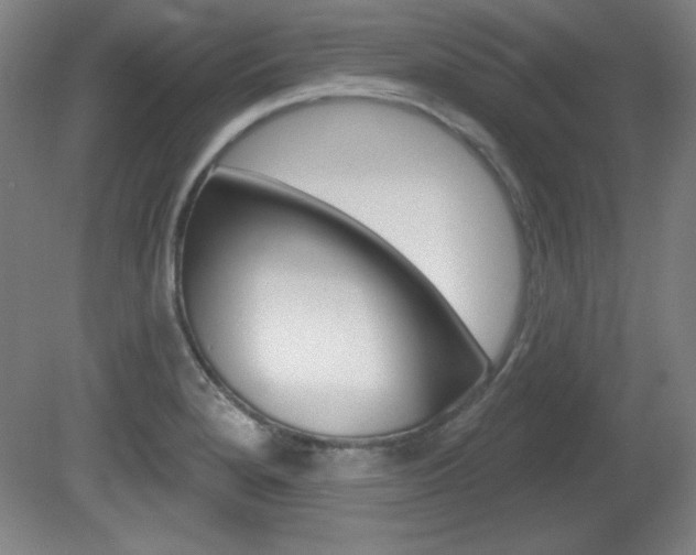 X0000081601280200701151044