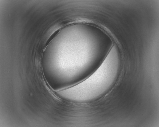 X0000081601281200701151044