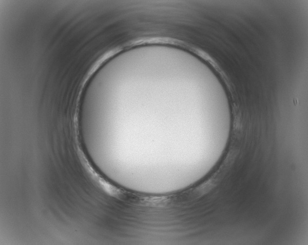 X0000081601282200701151044