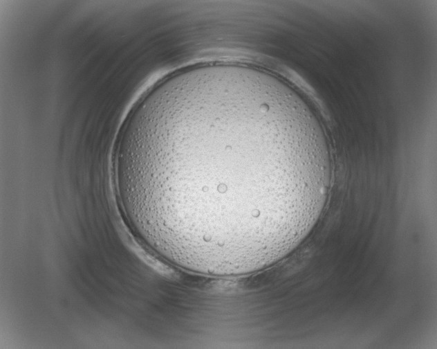 X0000081601283200701151044