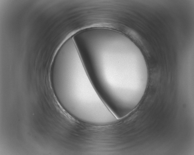X0000081601284200701151044