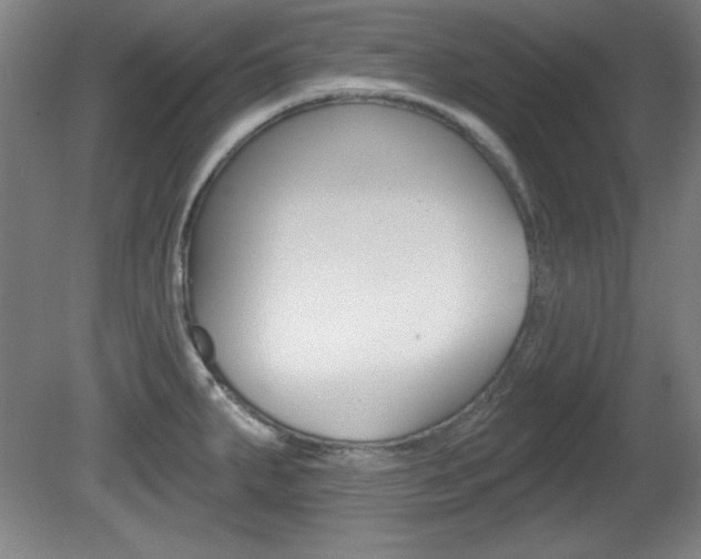 X0000081601287200701151044