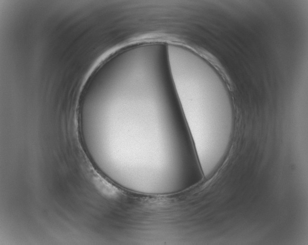 X0000081601288200701151044