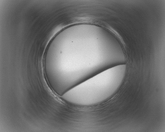 X0000081601291200701151044