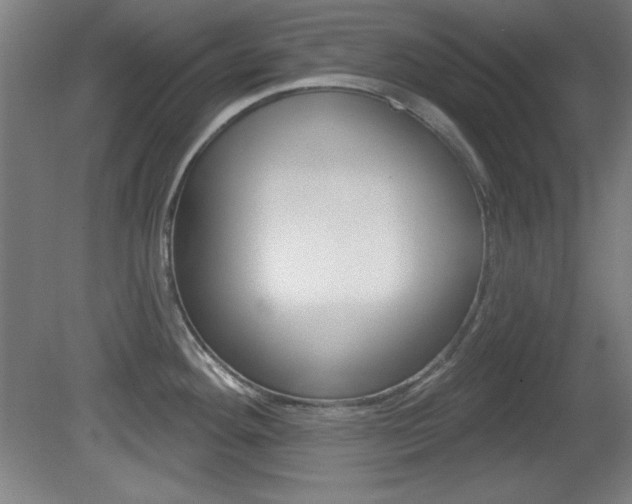 X0000081601292200701151044