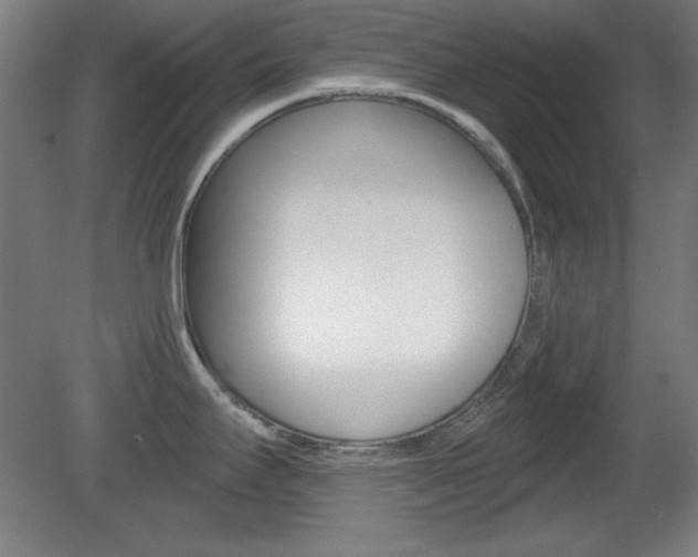 X0000081601295200701151044