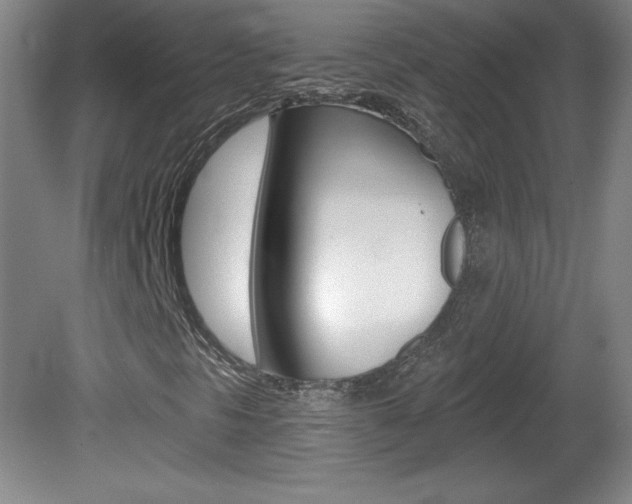 X0000081601297200701151043