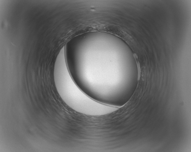 X0000081601298200701151043