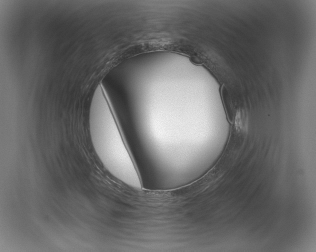 X0000081601299200701151043