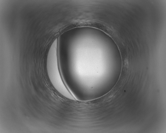 X0000081601300200701151043