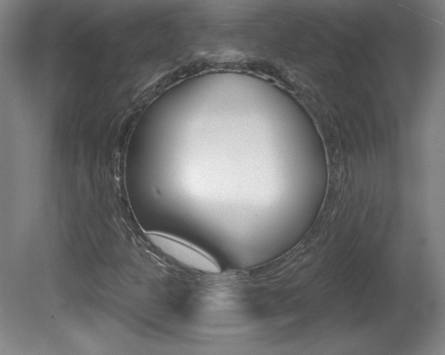X0000081601301200701151043